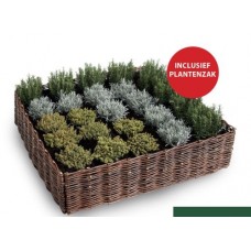 Wilgen kweekbak 100x100x25 cm Wilgen kweekbak 100x100x25 cm